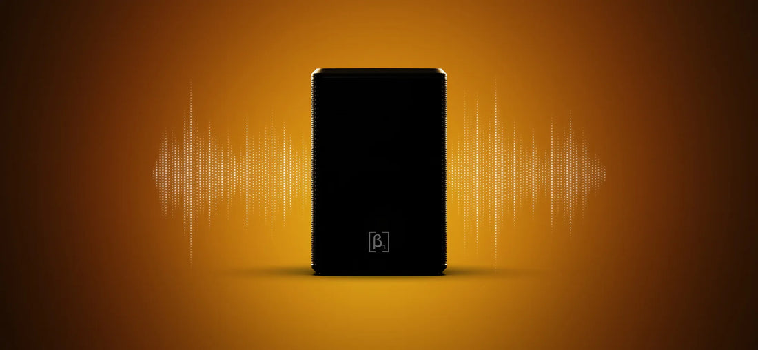 6-Inch vs 8-Inch Portable PA Speakers: Which Size Is Right for Your Gig?